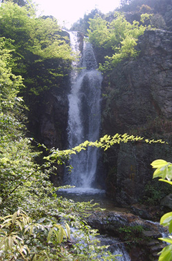 p3.jpg